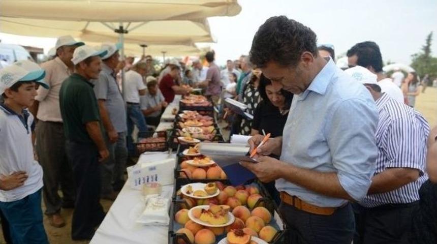 Nil&uuml;fer&rsquo;de &lsquo;şeftival&rsquo; Coşkusu