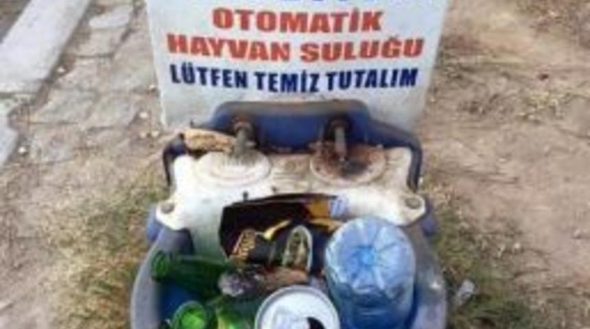 Su Kaplarına &Ccedil;&ouml;p Attılar, Hayvanlar Susuz Kaldı