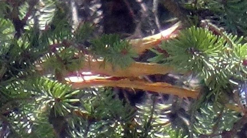 Malatya&rsquo;da Yıldırım D&uuml;şt&uuml;