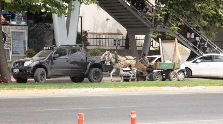 At Arabası Trafikte