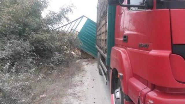 Tır Dorsesindeki Kesimhaneye Götürülen Tavuklar Telef Oldu