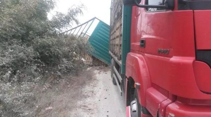 Tır Dorsesindeki Kesimhaneye G&ouml;t&uuml;r&uuml;len Tavuklar Telef Oldu