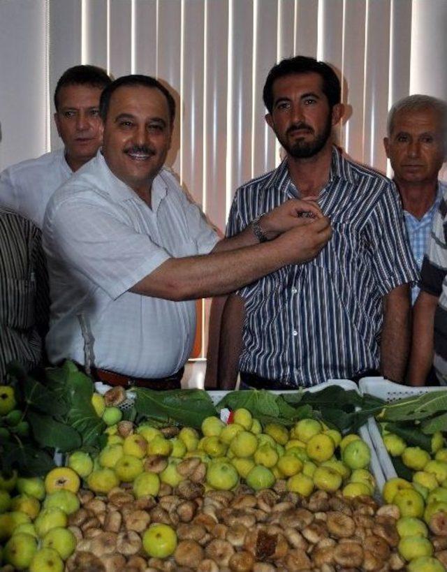 Aydın’da Sezonun İlk Kuru İnciri Borsaya Teslim Edildi