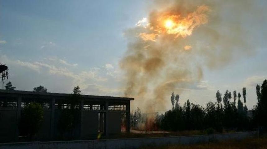 Polis Memuru Kaplumbağayı Yanmaktan Kurtardı