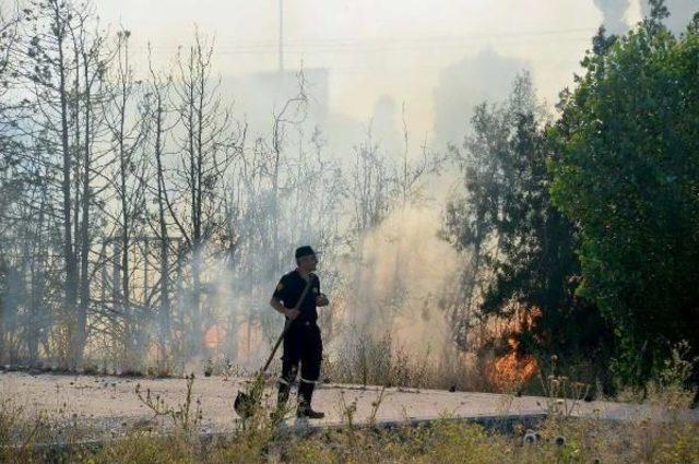 Polis Memuru Kaplumbağayı Yanmaktan Kurtardı 1