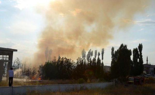 Polis Memuru Kaplumbağayı Yanmaktan Kurtardı 3