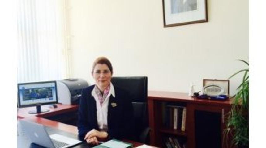 &Ccedil;inli Araştırmacılardan Gazi &Ccedil;eviri Ve K&uuml;lt&uuml;rel &Ccedil;alışmalar B&ouml;l&uuml;m&uuml;ne B&uuml;y&uuml;k Rağbet