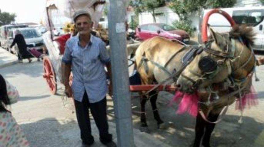 Mudanya Sahilinde Fayton Sefası
