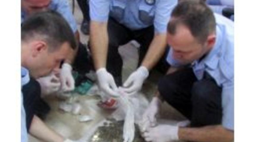 Çöp Evden Çuvalla Para Çıktı