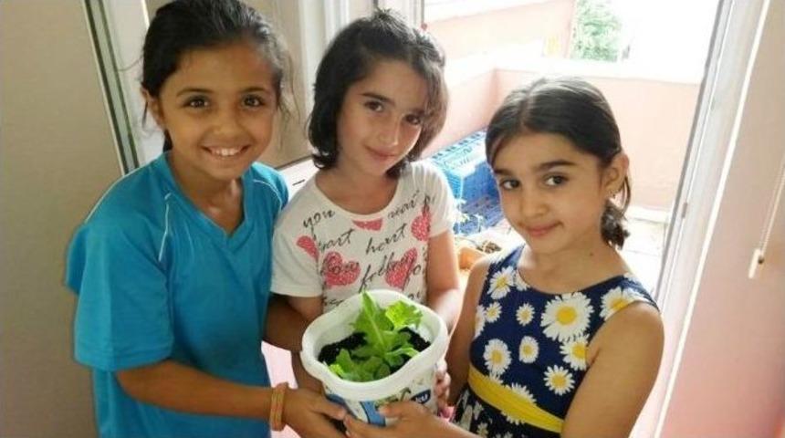 Bilgi Evleri &Ouml;ğrencileri Organik Marul Yetiştirdi