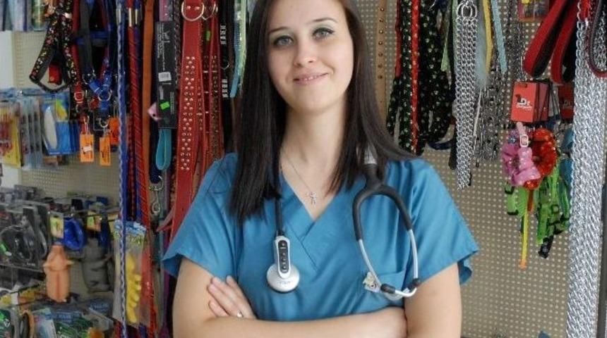 Yaz Aylarında Sivrisineklere Dikkat