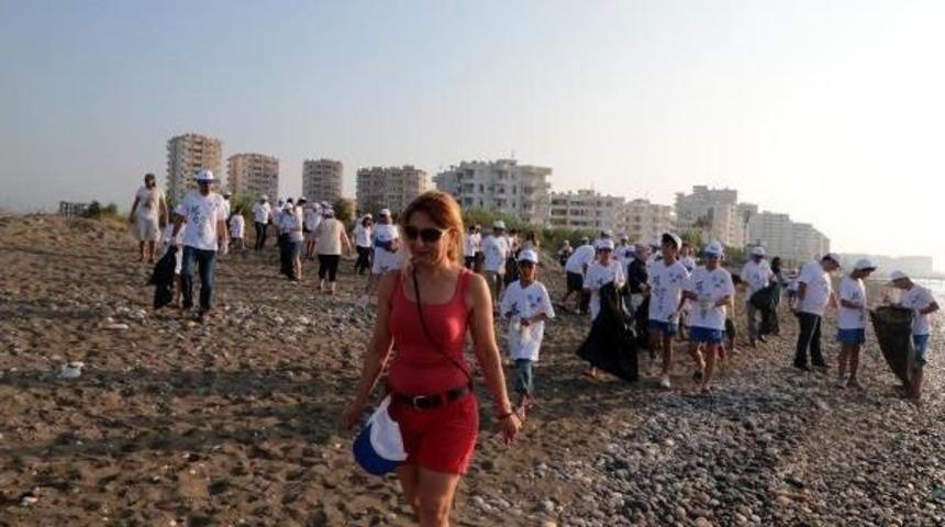 Baby Caretta Ceratta Parade, During Beach Cleaning At Meditereanean Coast