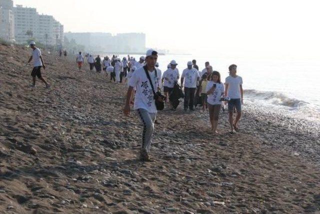 Baby Caretta Ceratta Parade, During Beach Cleaning At Meditereanean Coast