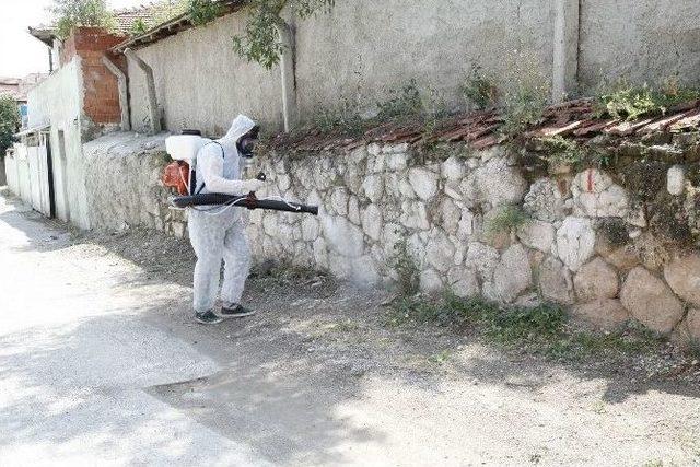 Odunpazarı’ndan Haşereye Karşı İlaçlama Çalışmaları