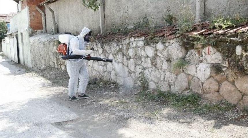 Odunpazarı&rsquo;ndan Haşereye Karşı İla&ccedil;lama &Ccedil;alışmaları