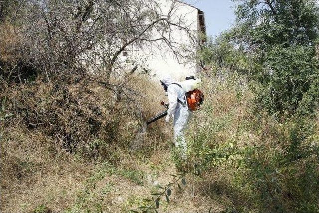 Odunpazarı&rsquo;ndan Haşereye Karşı İla&ccedil;lama &Ccedil;alışmaları 1