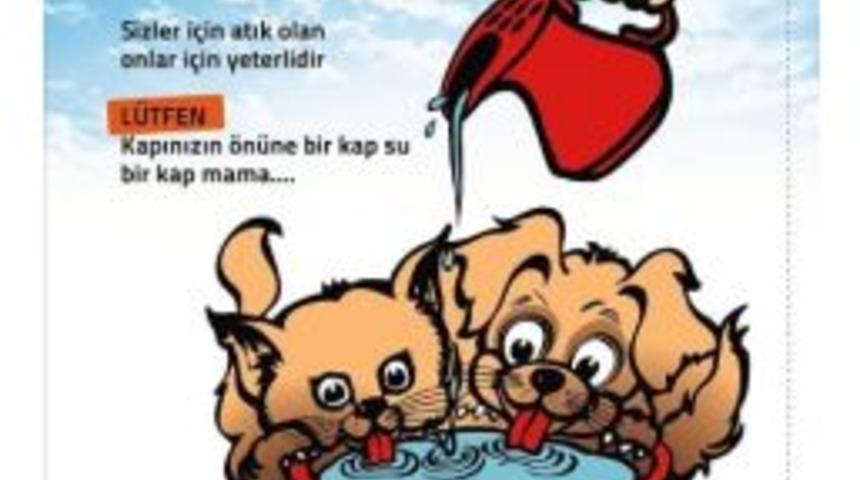 Sokak Hayvanlarına &ldquo;bir Kap Su Dolu Mutluluk&rdquo; Projesi