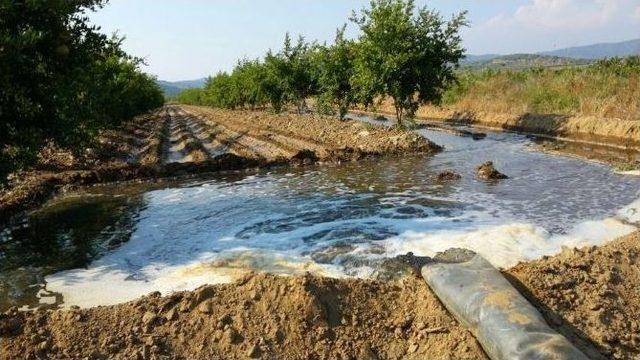 &Ccedil;evrecilerden K&uuml;&ccedil;&uuml;k Menderes İ&ccedil;in Arıtma Tesisi &Ccedil;ağrısı 1