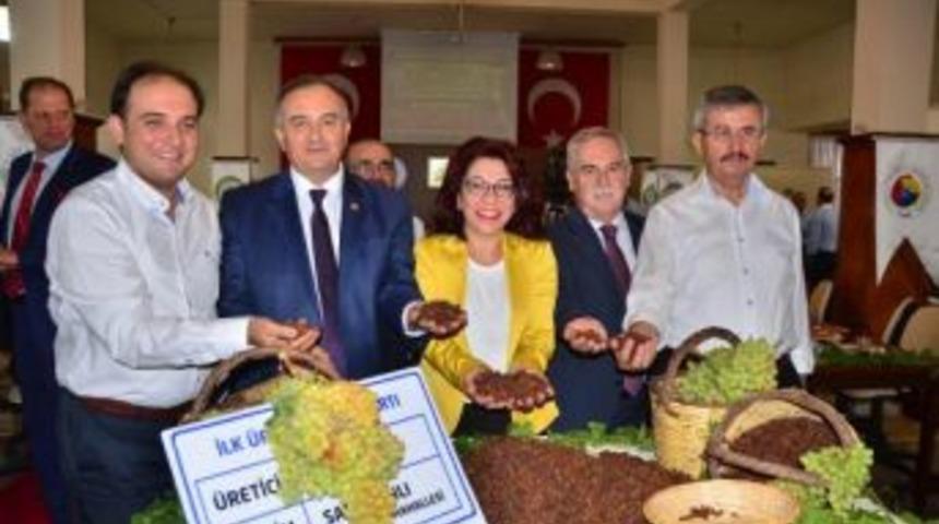 Ak Partili Berber: Zeytinde Ve Zeytinyağında Ithalat S&ouml;z Konusu Değil