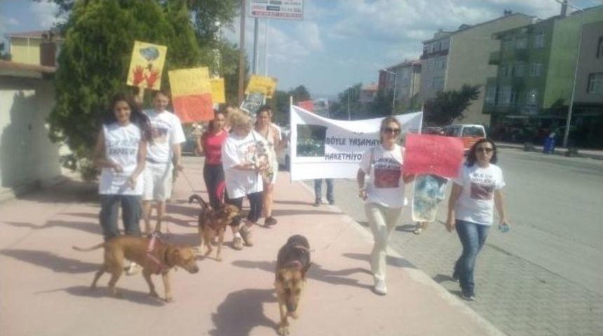 Belediyeye Kızan Hayvanseverler Eylem Yaptı