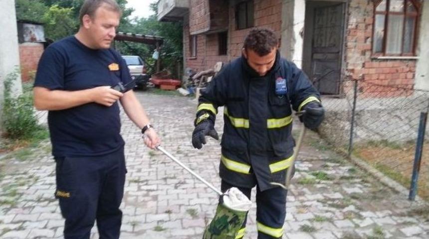 Eve Giren Yılanı İtfaiye Ekipleri &Ccedil;ıkarttı