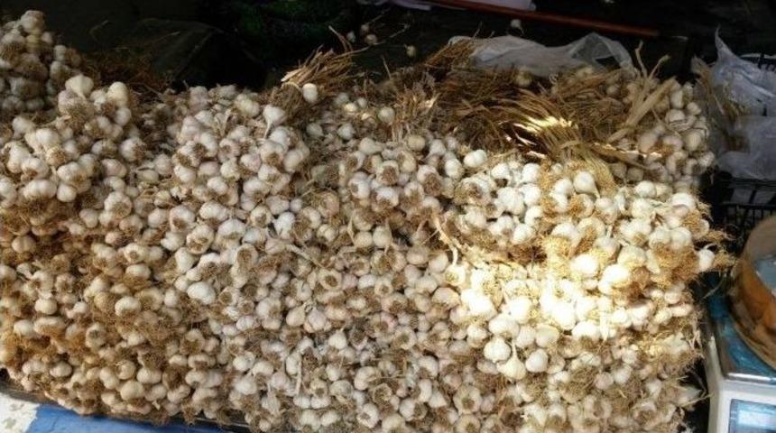 Taşk&ouml;pr&uuml; Sarımsağı Tekirdağ&rsquo;da Satışa &Ccedil;ıktı