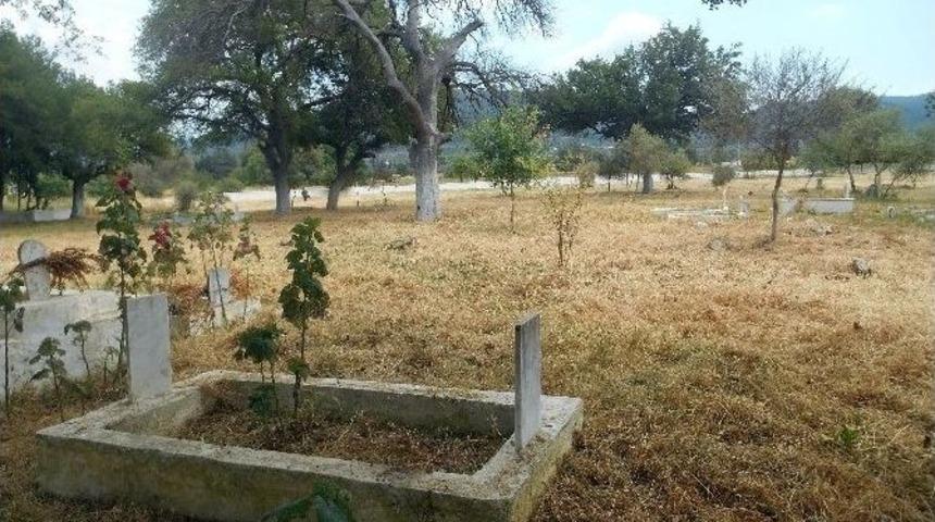 Muğla Mezarlık Zengini