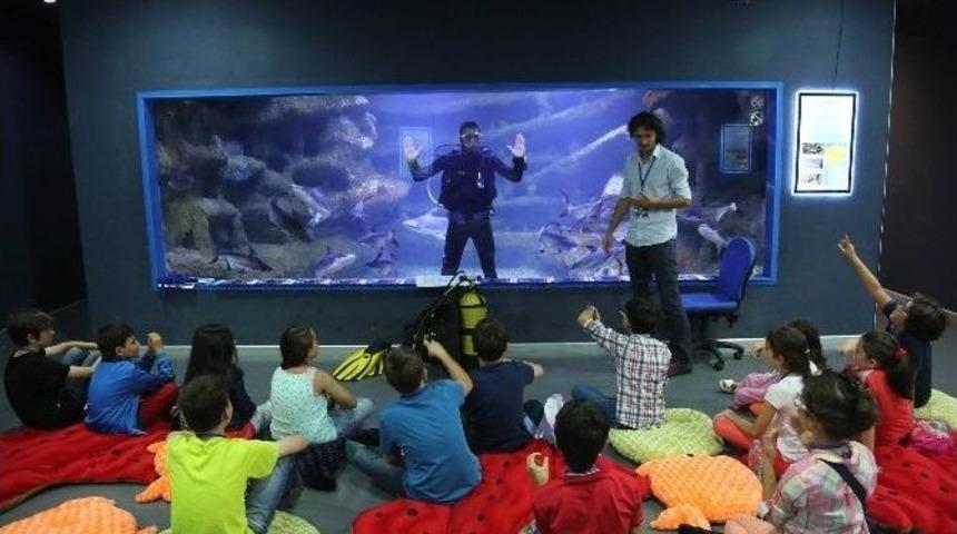 Sualtı D&uuml;nyasında Dalgı&ccedil;larla İletişim Dersi
