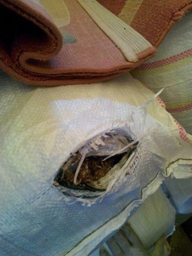 Sivas’ta 355 Kilo Esrar Ele Geçirildi 1