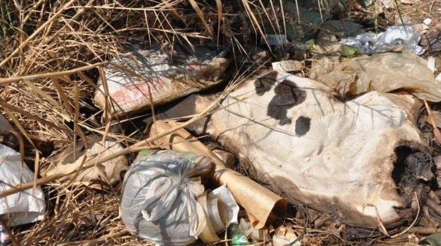 &Ouml;demiş&rsquo;in G&ouml;beğinde Utandıran G&ouml;r&uuml;nt&uuml;