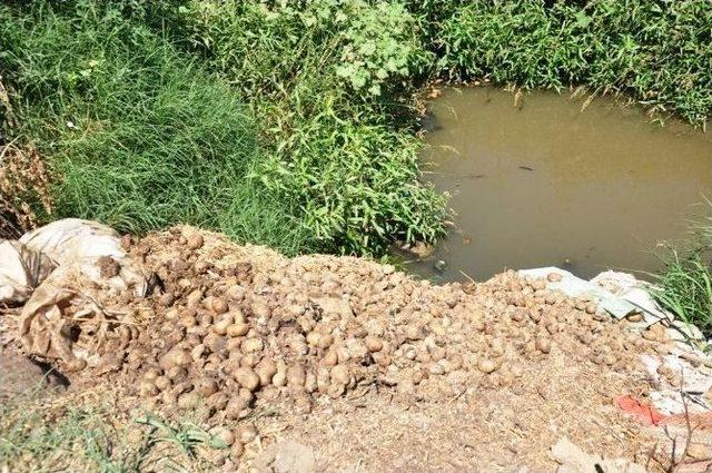 Ödemiş’in Göbeğinde Utandıran Görüntü