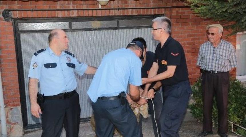 Eskişehir&rsquo;de Koyun Kurtarma Operasyonu