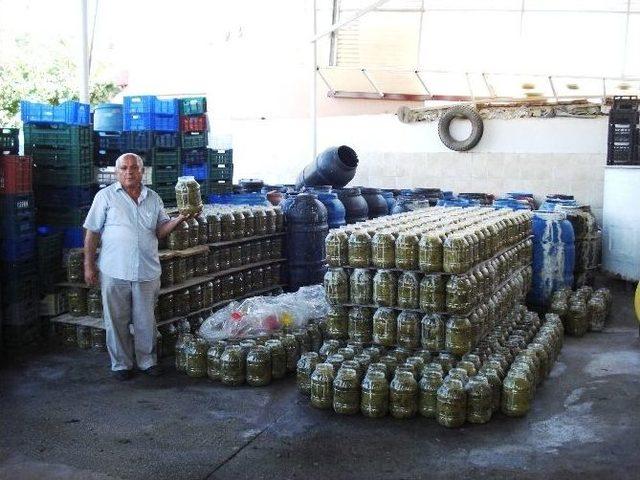 Sarıgöl’den Yurtdışına Bağ Yaprağı İhracatı 1