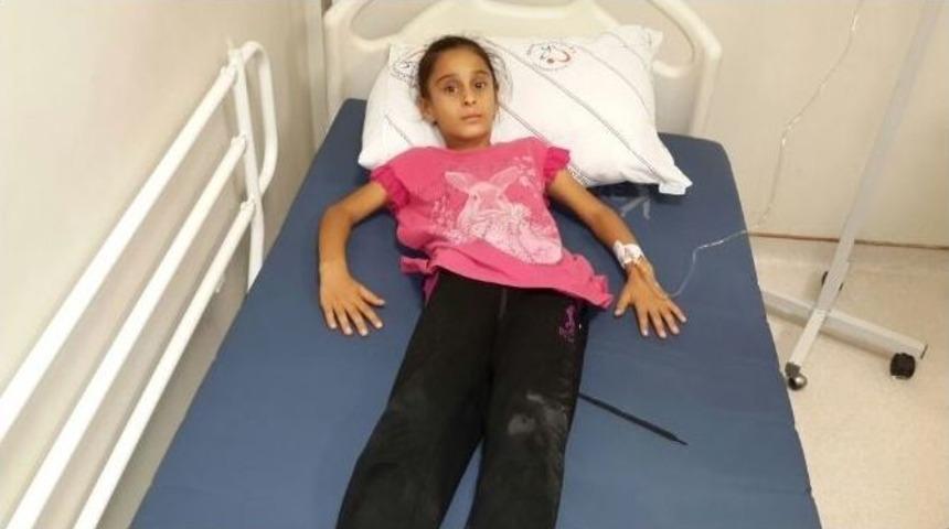 Siirt&rsquo;te Bir G&uuml;nde 6 Kişiyi Akrep Soktu