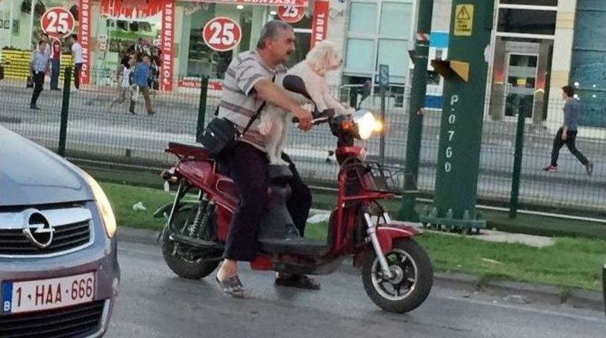 S&uuml;s K&ouml;peğinin Motosiklet Keyfi
