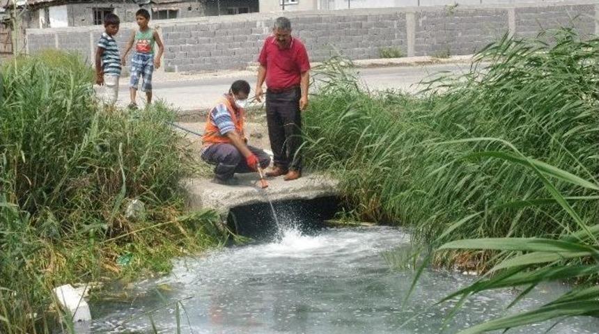Sinekten Uzak, Temiz İl&ccedil;eler İ&ccedil;in Gece G&uuml;nd&uuml;z Mesai