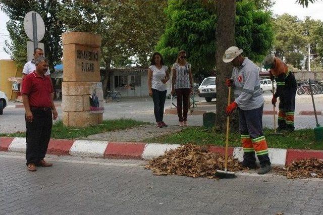 Sinekten Uzak, Temiz İlçeler İçin Gece Gündüz Mesai