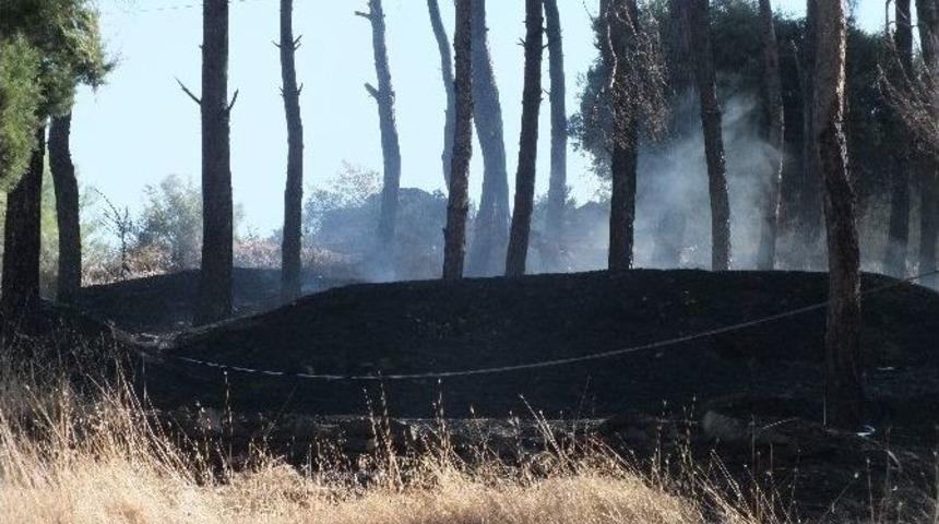 Yerleşim Alanı Yakında &Ccedil;ıkan Yangın Korkuttu