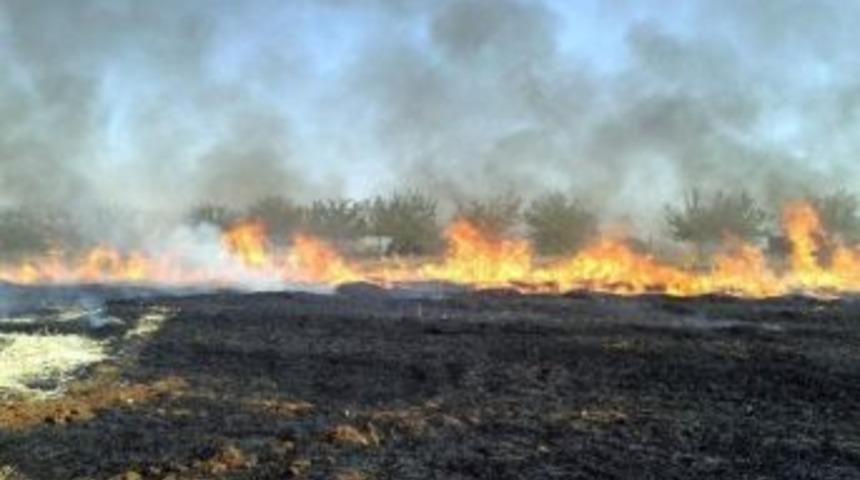 Anız Yangını Korkuttu