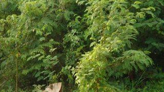 Bu fotoğraflara dikkatli bakın