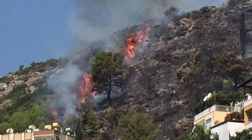 Alanya’da Korkutan Yangın