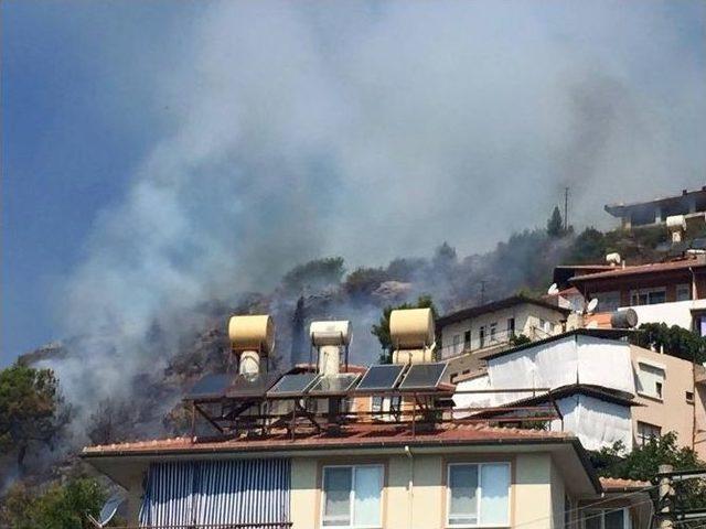 Alanya’da Korkutan Yangın