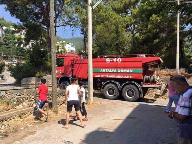 Alanya’da Korkutan Yangın