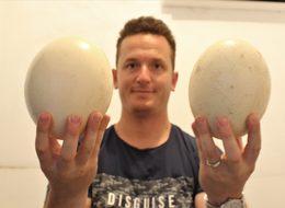 Deve kuşu yavruları 500 liradan satılıyor! Siparişlere yetişemiyor