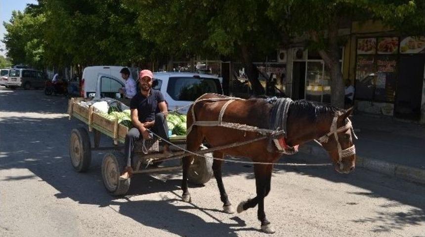&Uuml;r&uuml;n Pazarlamasına At Arabalı &Ccedil;&ouml;z&uuml;m