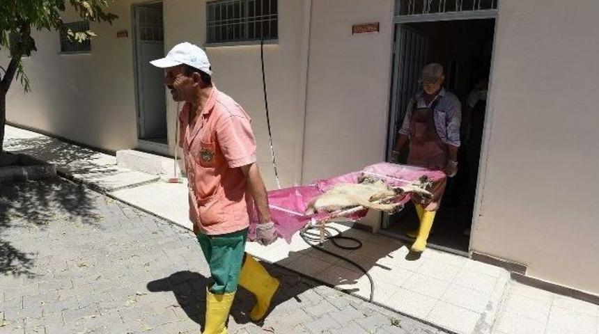 B&uuml;y&uuml;kşehir Belediyesinden &Ouml;zel Hizmet