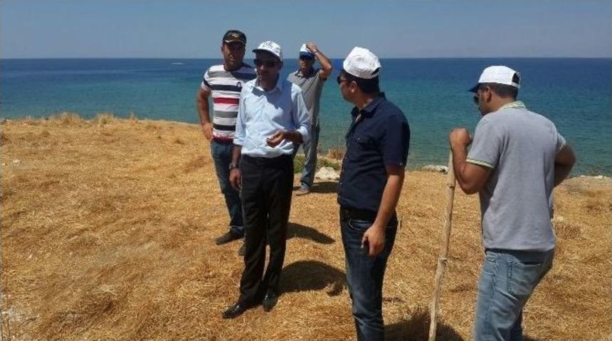 Tuşba Belediyesi&rsquo;nden &Ccedil;arpanak Adası&rsquo;nda İnceleme