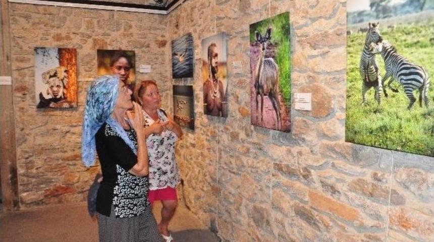 Bodrum&rsquo;da "yaban" Fotoğraf Sergisi A&ccedil;ıldı