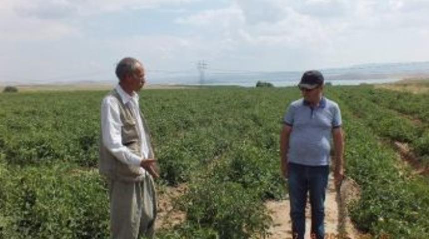 Tso&rsquo;dan End&uuml;striyel Tarıma Destek