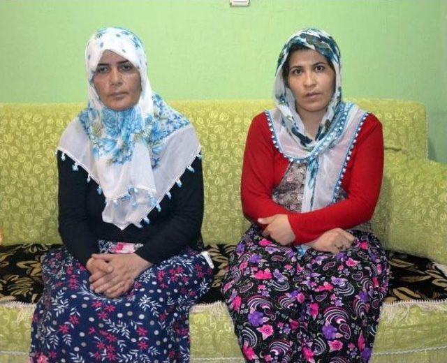 Diyadin'de Çatışma: 3 Pkk'lı Ölü Ele Geçirildi (2)